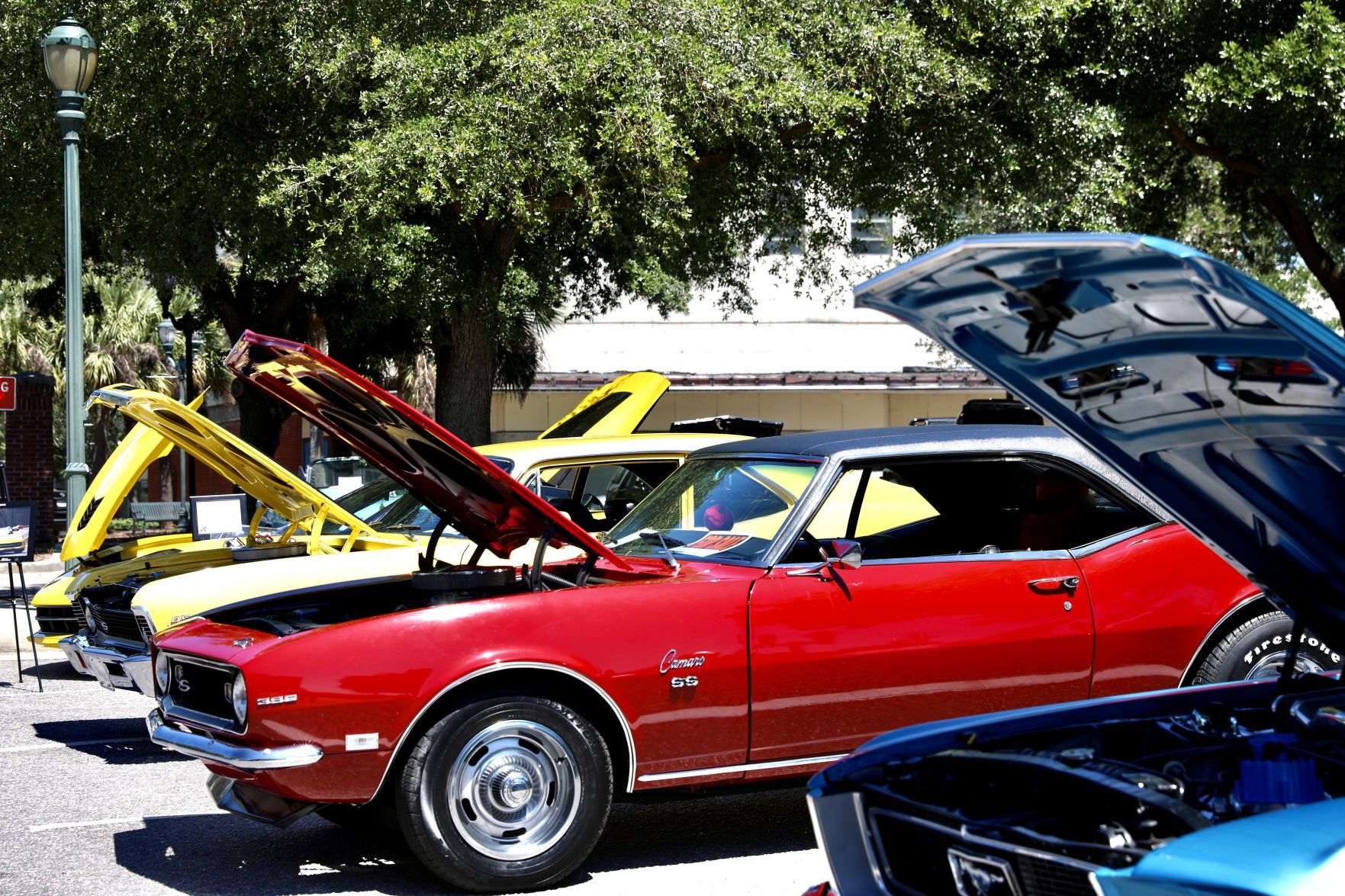 DORA Annual Car Show